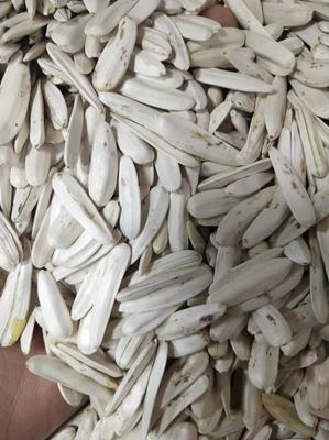 牙簽瓜子，品味生活的雋永滋味